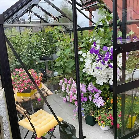 Spacious House Near Centre - Wsc 2025!