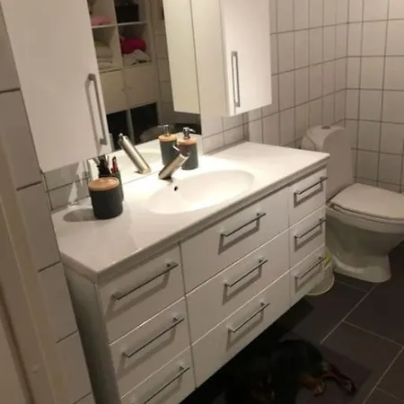 别墅 Spacious House Near Centre - Wsc 2025! 特隆赫姆