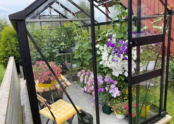 Spacious House Near Centre - Wsc 2025!