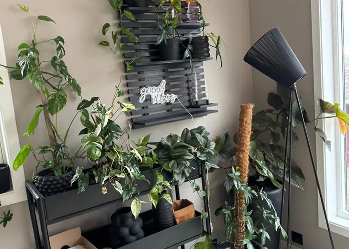 Villa Spacious House Near Centre - Wsc 2025!