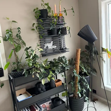 Βίλα Spacious House Near Centre - Wsc 2025!